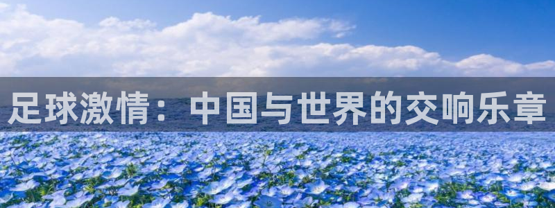 欧洲世界杯预选赛赛程：足球激情：中国与世界的交响乐章
