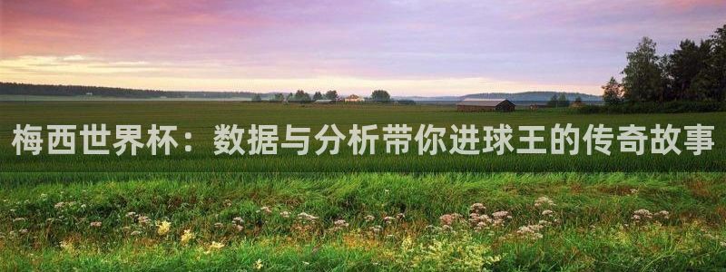 世界杯转播表：梅西世界杯：数据与分析带你进球王的传奇故事