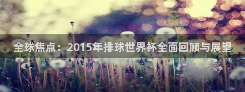 欧洲世界杯预选赛：全球焦点：2015年排球世界杯全面回顾与展望
