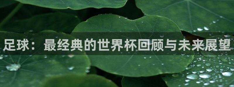 世界杯直播观看：足球：最经典的世界杯回顾与未来展望