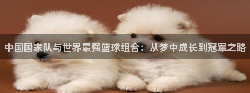 世界杯足球赛2026赛程时间：中国国家队与世界最强篮球组合：从梦中成长到冠军之路