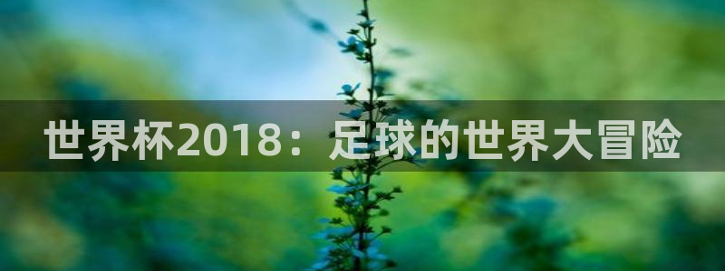 2026足球世界杯赛程时间表：世界杯2018：足球的世界大冒险