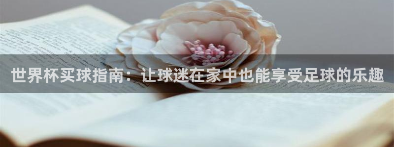 欧洲世预赛赛程表：世界杯买球指南：让球迷在家中也能享受足球的乐趣