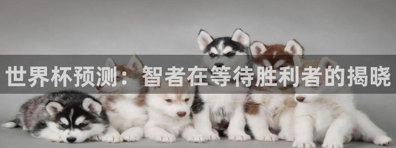 2026足球世界杯赛程时间表：世界杯预测：智者在等待胜利者的揭晓